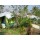  เต็นท์รีสอร์ท 1 Tent Resort I